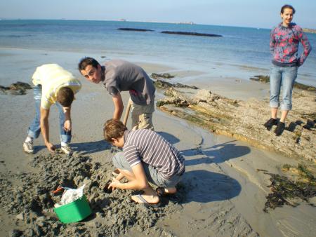 a la recherch de vers... et l'an�mone regarde